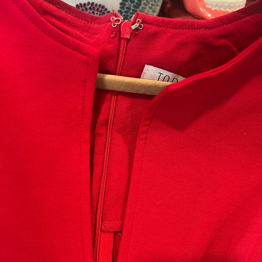 Tobi deep v red dress